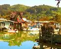 HOUSEBOATS-PHOTOS-SAUSALITO