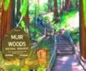 Muir Woods Private Tours