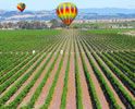 sonoma-valley-wineries