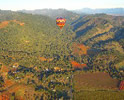 BALLOON-PHOTO-VINEYARDS