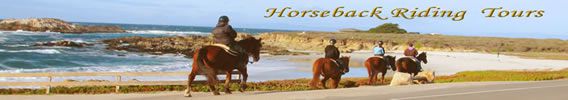 Horseback-ride-photo-horses