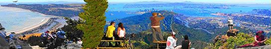 Arial Views San Francisco