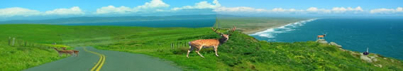 Point-Reyes-photos-National-Seashores