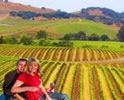 Wine-Country-photos-california