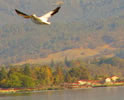 bolinas-lagon-photo-stinson-beach