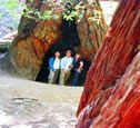 Muir Woods & Sausalito PM Tours