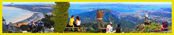 Muir Woods, Sausalito