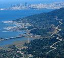 Muir Woods, Sausalito