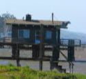 Muir Woods, Stinson Beach