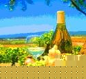 Muir Woods & Wine Country Combo Tour