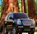 Muir Woods Private Tours