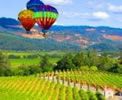 Muir Woods & Wine Country Combo Tour