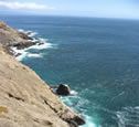 Muir Woods, Stinson Beach