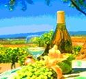 Muir Woods & Wine Country Combo Tour