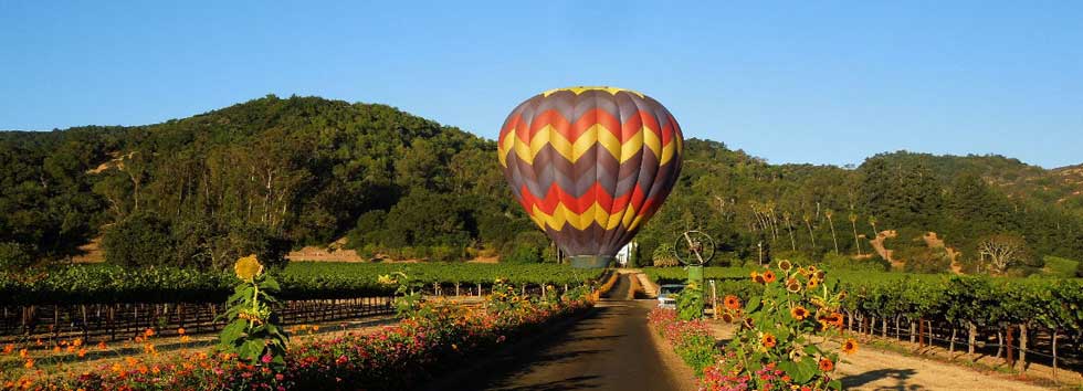 Napa Hotair Balloon Ride