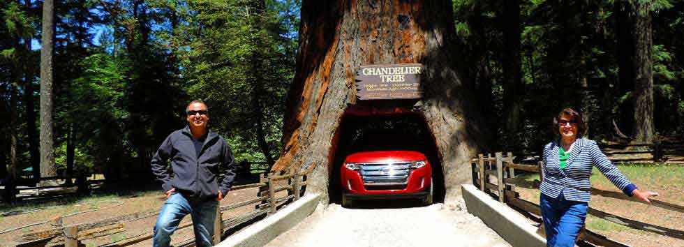 Redwood National Park