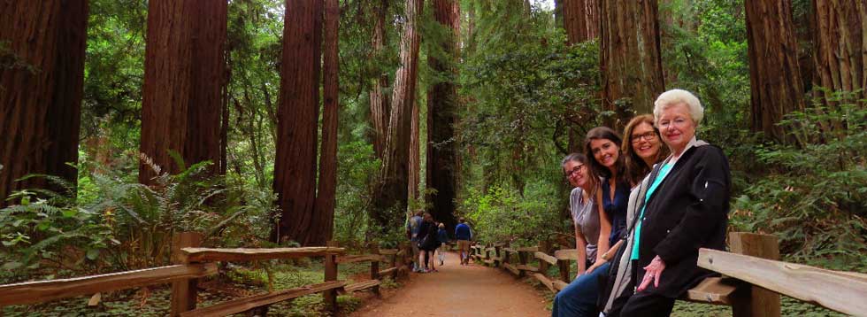 muirwoodsnationalpark