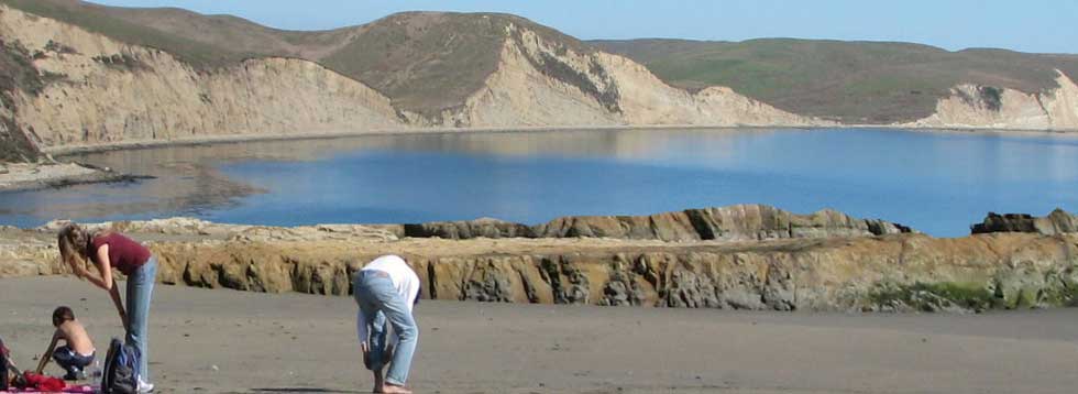 beachesofpointreyes