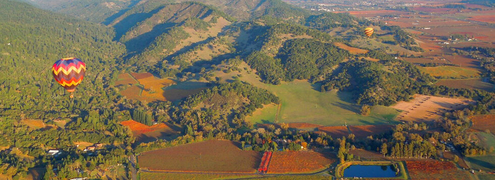 Balloon  Above Napa Valley 