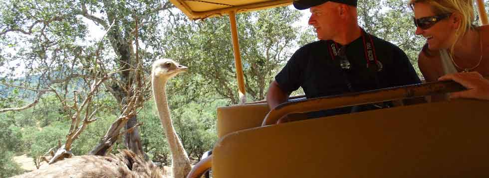 Safari-Animal-ark--sightseeing-tour