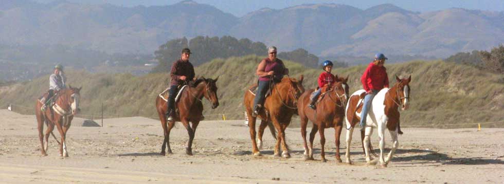 horsebackridingonthebeach