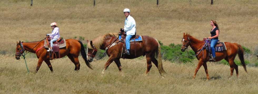 horsebackridingtour