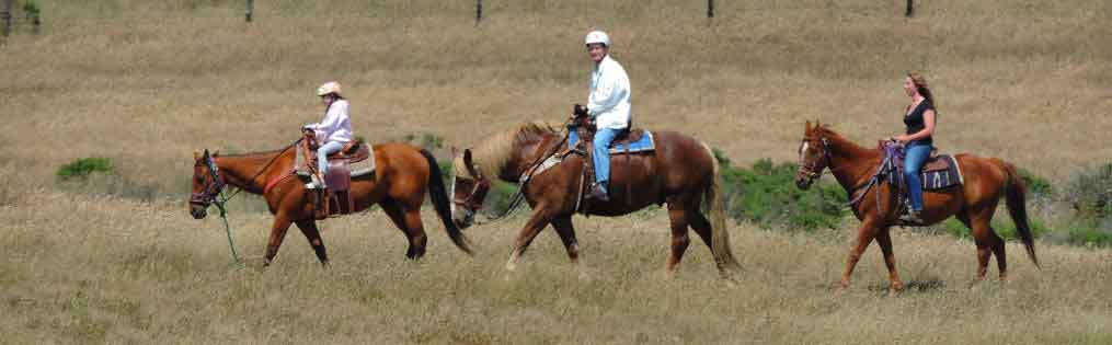 Horseback Riding Tour