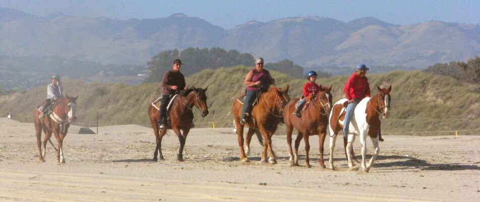 horsebackridingonthebeach