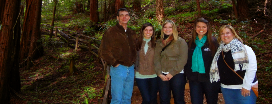 Muir Woods Forest