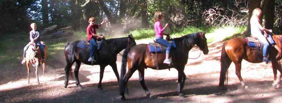 horsebackridingmuirwoodsforest