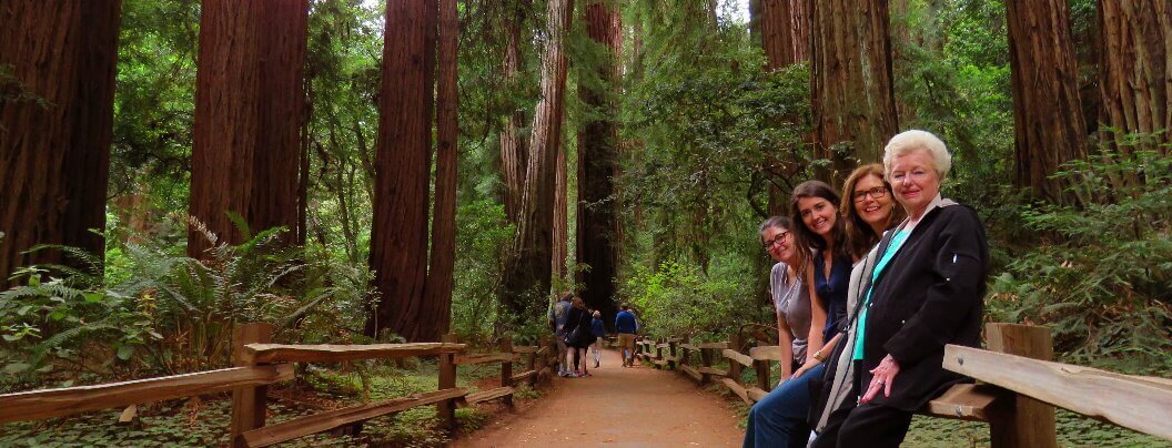 muirwoodsnationalpark