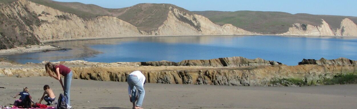 beachesofpointreyes