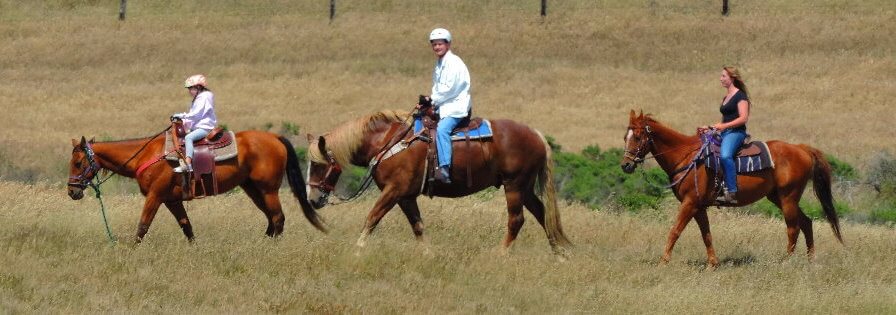 horsebackridingtour