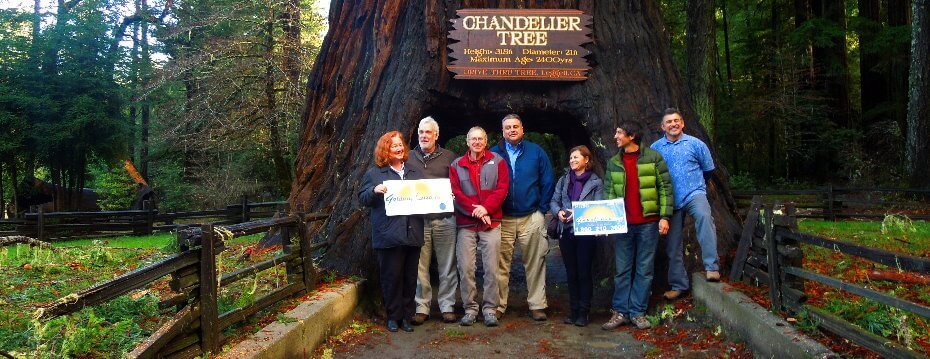 Redwood National  Tour Guides