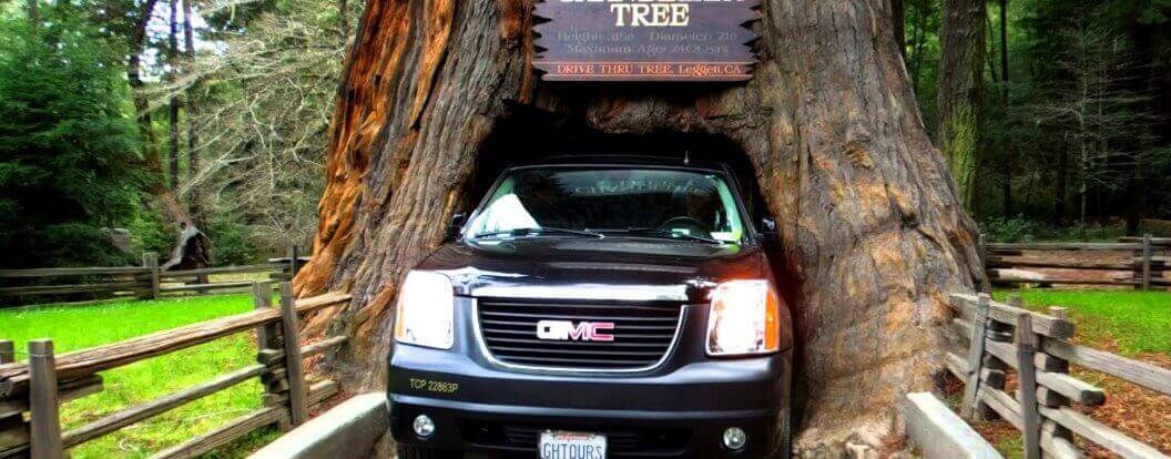 Chandelier Drive-Thru Tree