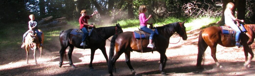 horseridingredwoodsforest