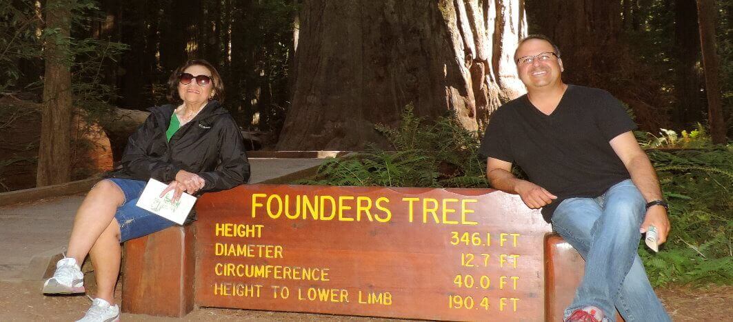 Redwoods-Founders' Grove 